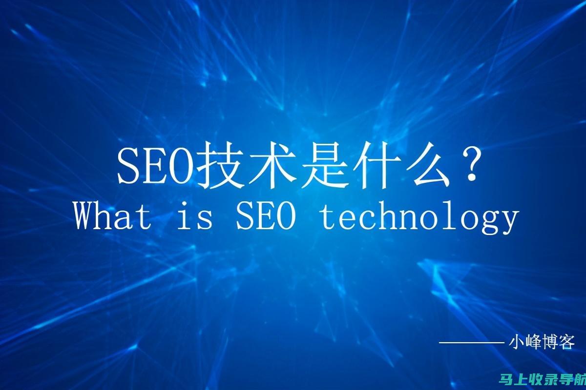 SEO与SEM的结合应用：e_seoa在数字营销中的优势与挑战