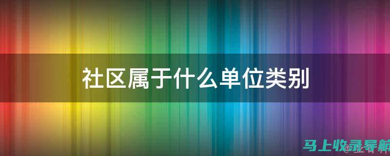 社区站长级别的晋升路径与必备技能解析